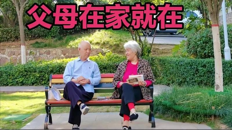 父母恩报得三春晖,谁言寸草心报得三春晖感恩父母