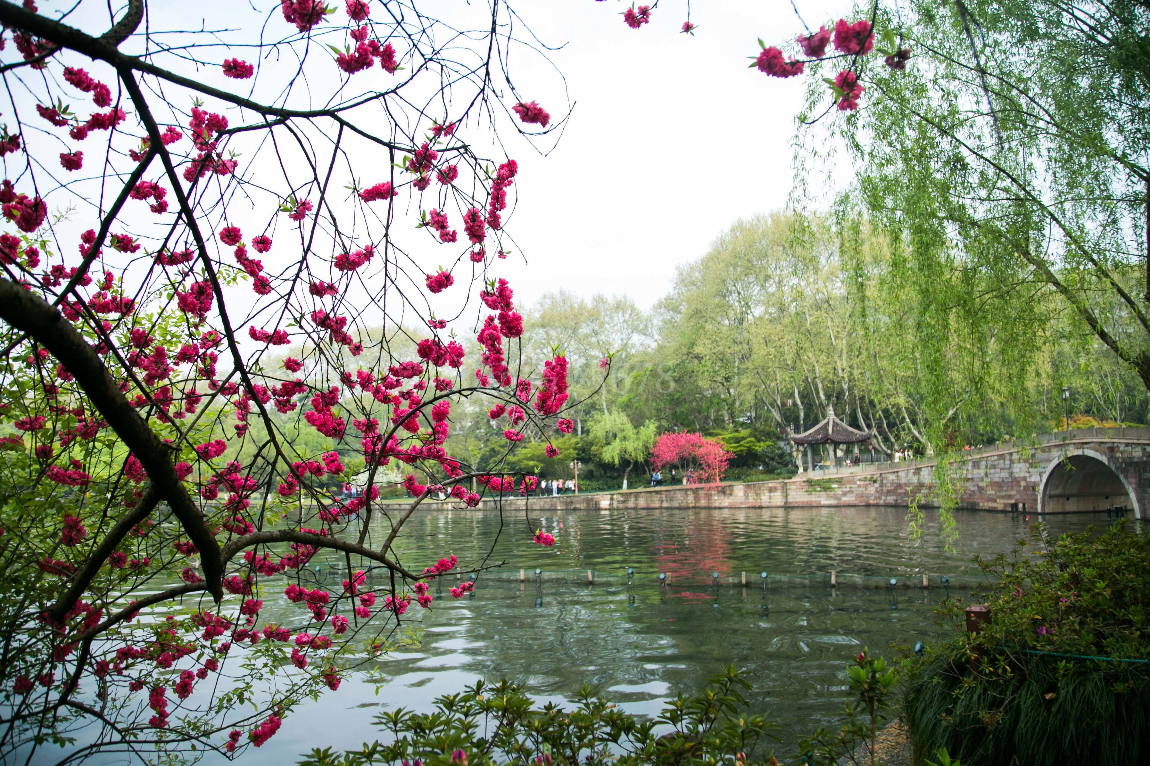 soho个人外贸创业,外贸soho创业选行业