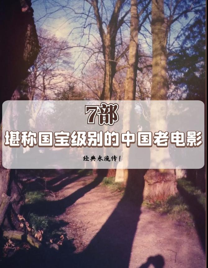 最好看的几部国产老电影,推荐几部经典的国产老电影