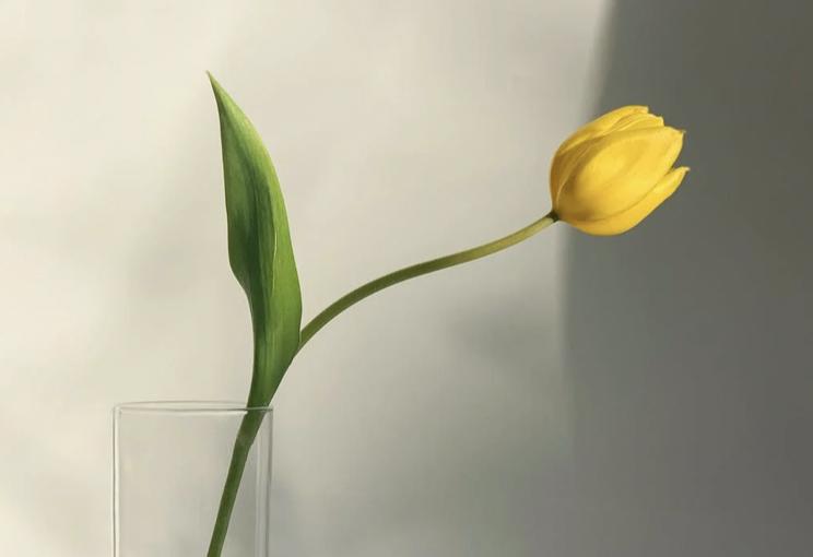 李健丁克后悔吗,李健丁克自私吗