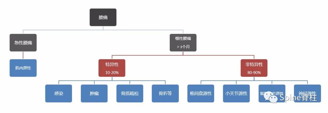 腰椎间盘突出症状表现,腰椎间盘突出症疼痛最佳止痛方法