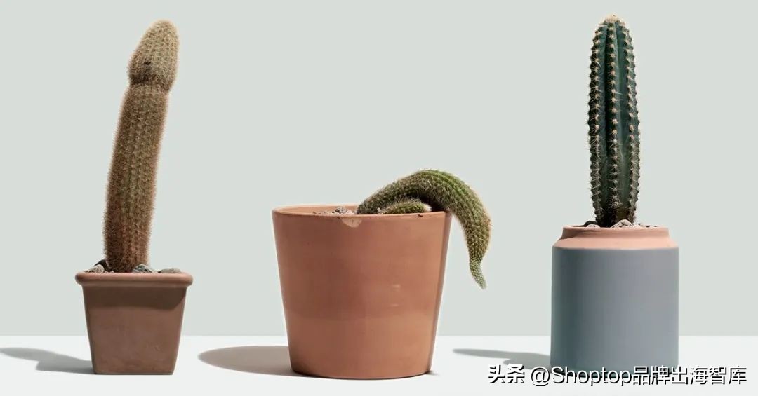 年售5亿美金!解决男性“难言之隐”的护理品牌Hims在北美杀疯了