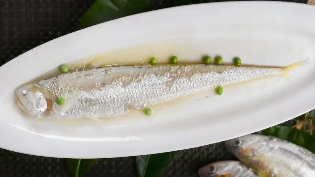 刀鱼尝鲜季,刀鱼尝鲜