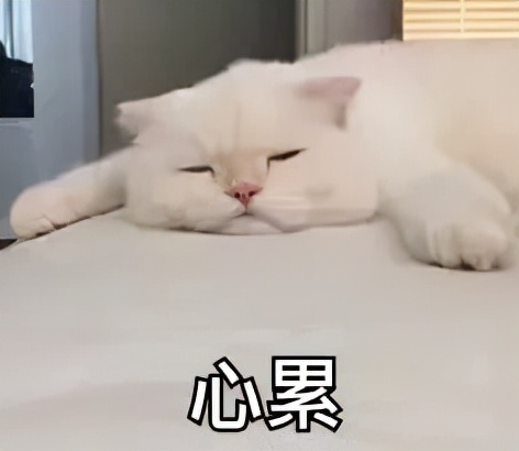 基数大怎么减脂,21天有效减5%体脂率