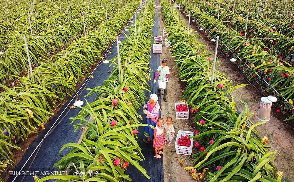 旅居海南,旅居式旅游生活海南