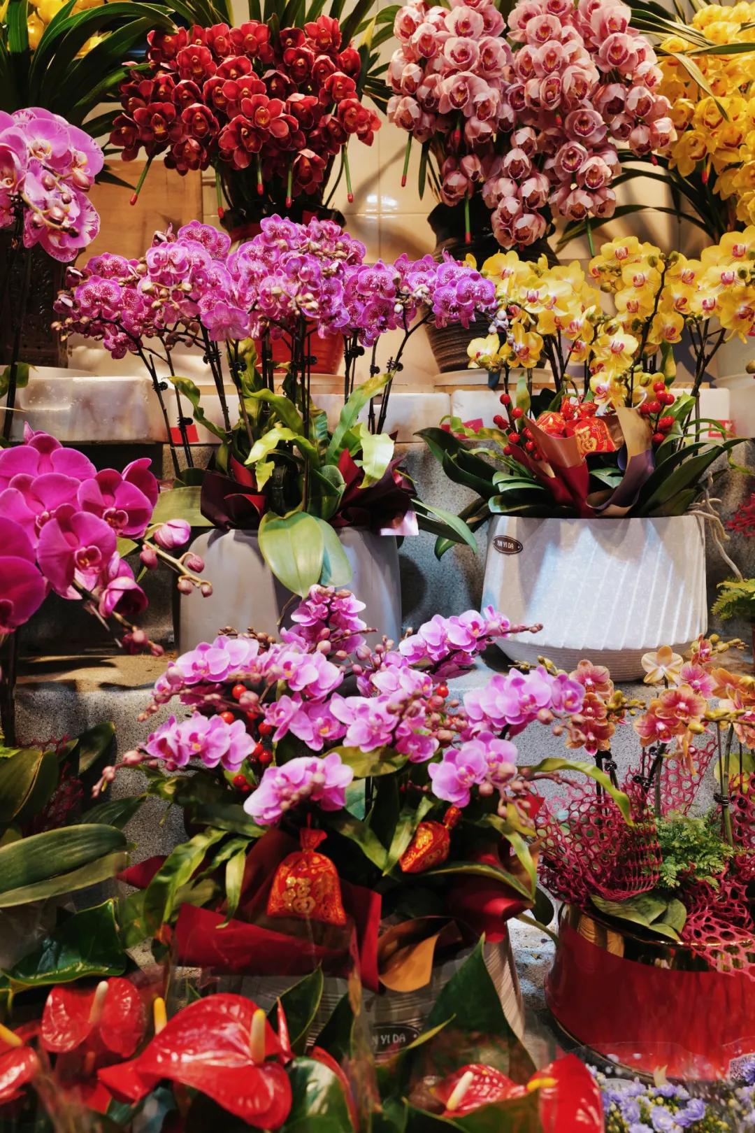 没想到有一天，在菜场被馋哭