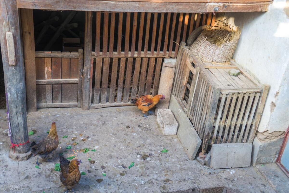 农村大集上的东西是真的吗,农村大集上三样东西千万别买