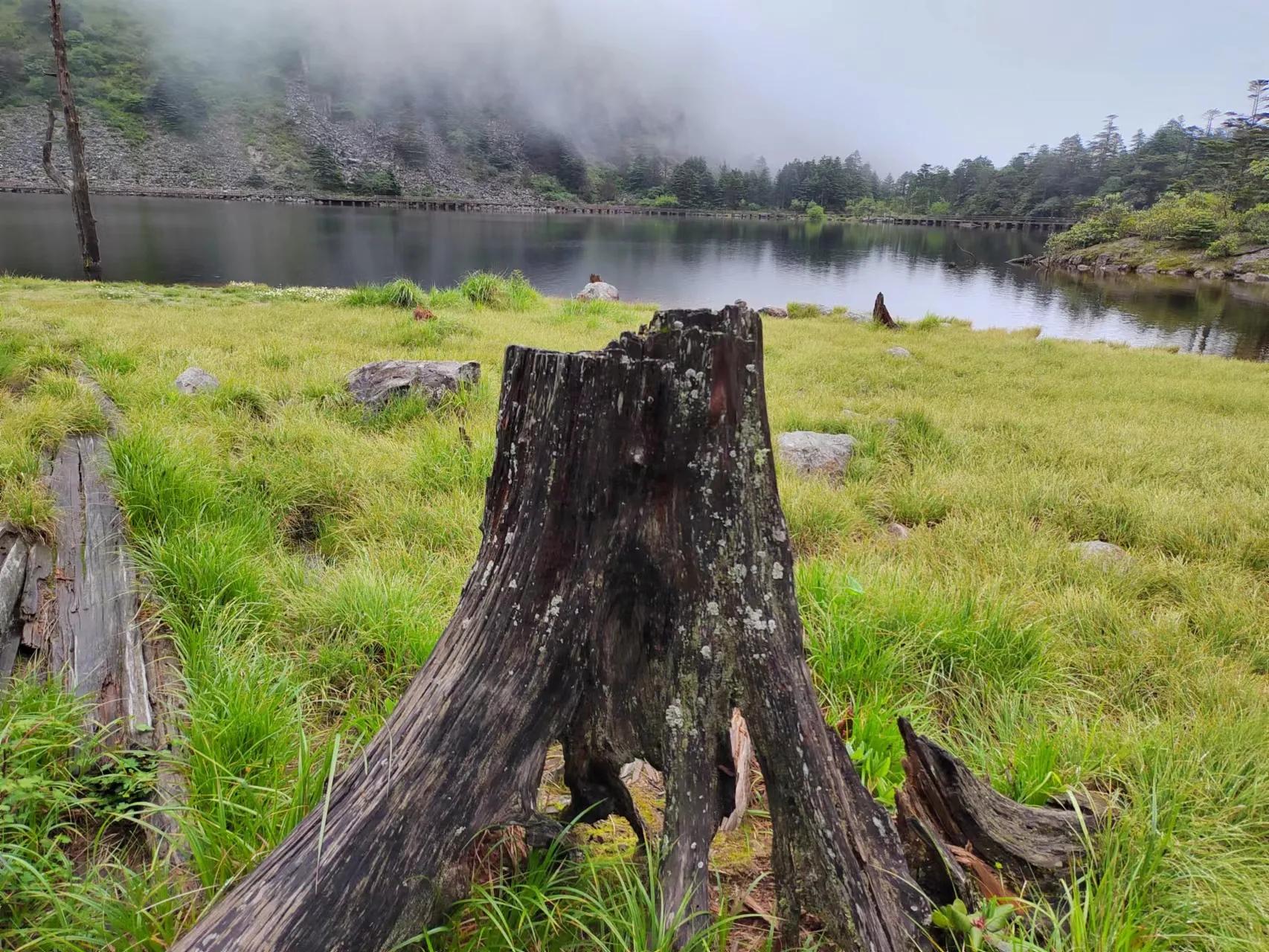 索玛花儿开完整版彝族歌曲,索玛花儿开丽江打跳