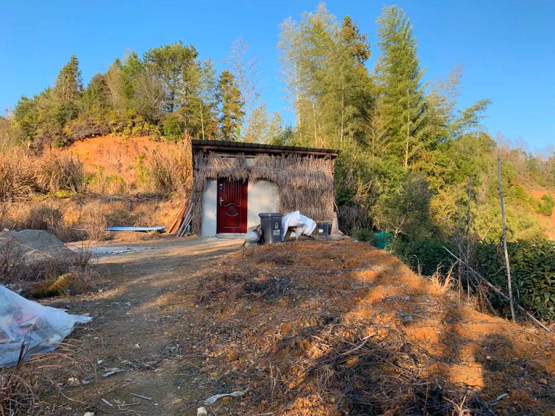 奥密克戎到达南极,奥密克戎在零下18度存活