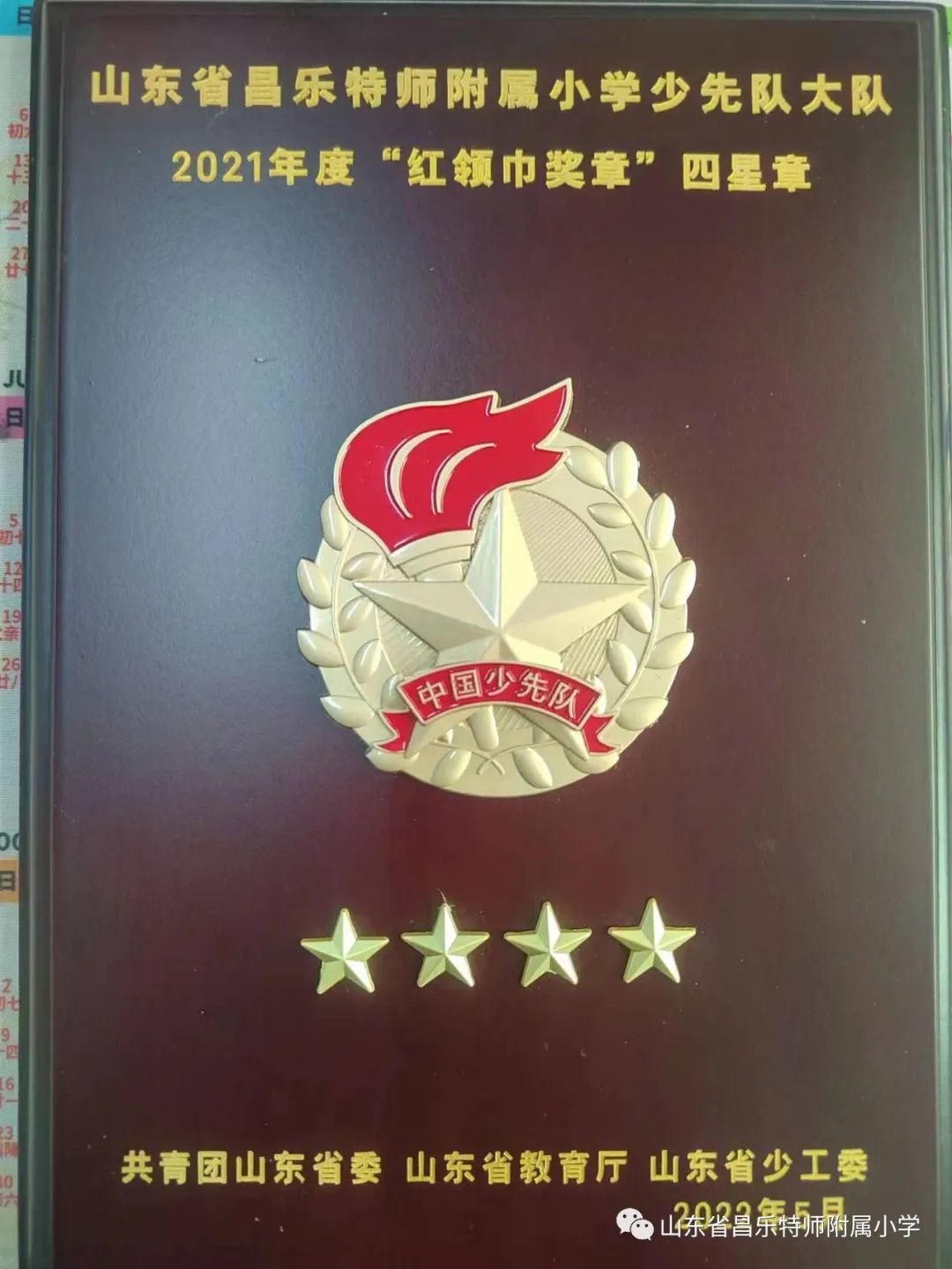 红领巾奖章三星奖章个人风采介绍,红领巾三星奖章队员事迹介绍