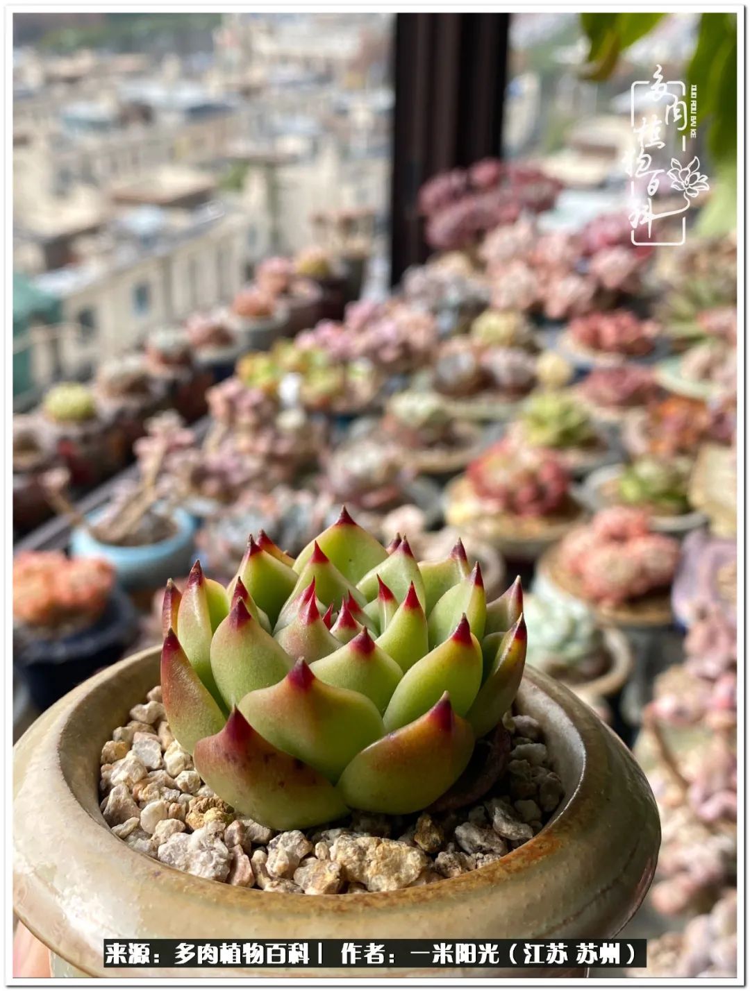 幸福就是珍惜当下所拥有的,珍惜当下所拥有的才是幸福的