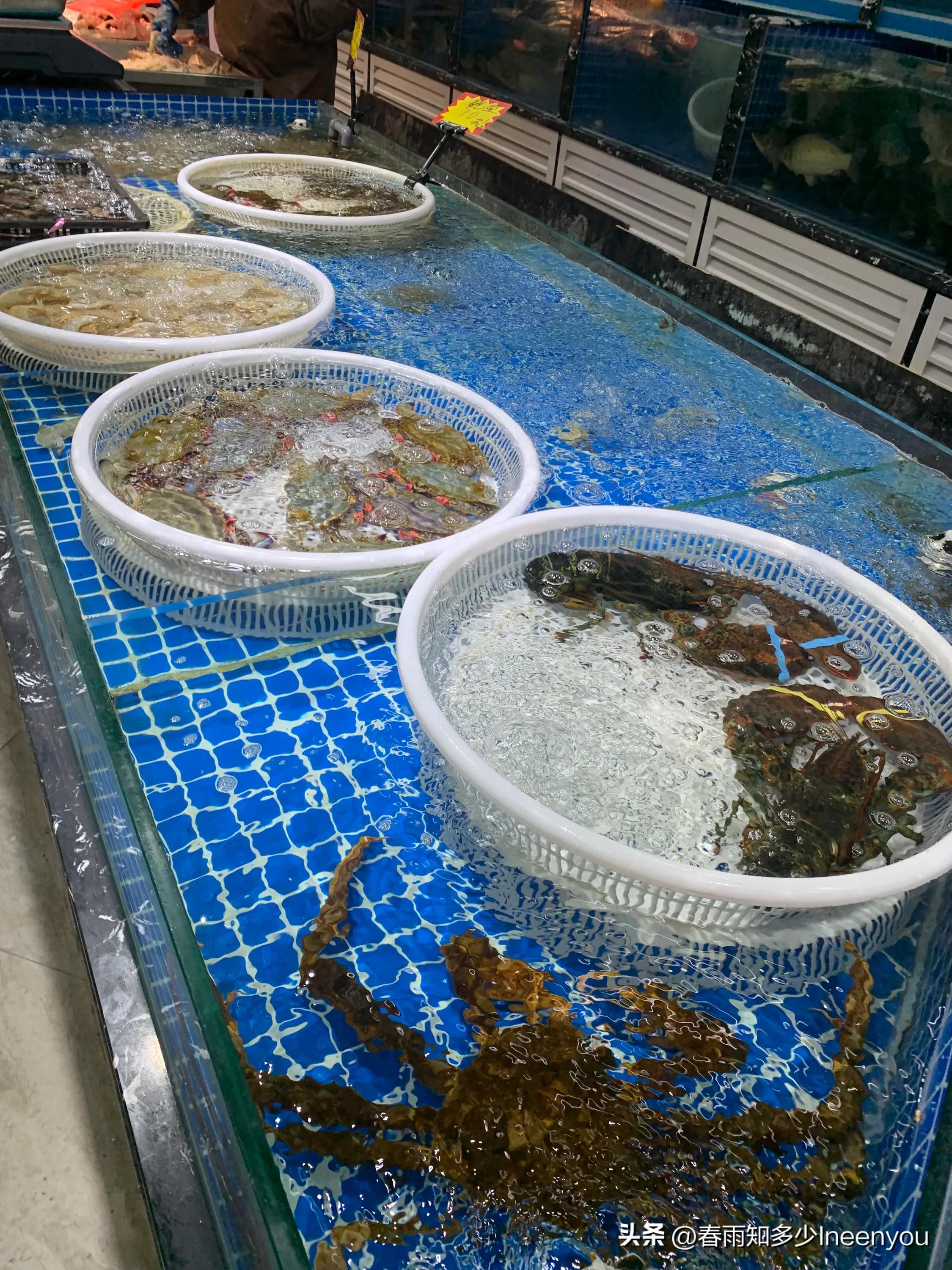 生活本就是不停的奔波,元旦将至忙忙碌碌