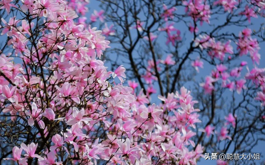 一元一串特色烧烤,十种特色一元烧烤小串