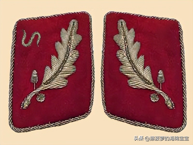 纳粹冲锋队用的什么枪,纳粹德军军衔图解