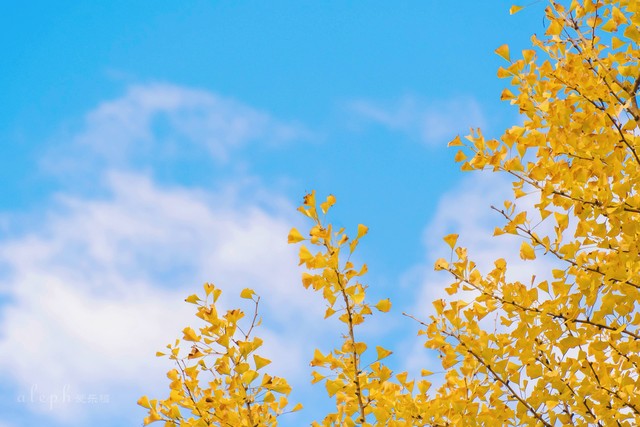 自我提升的8个方法,自我提升的8个好习惯迷茫时看