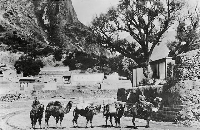 日军侵华兽行,日军当着国军的面杀俘虏