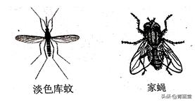2021年江苏省苏州市初中生物结业考试