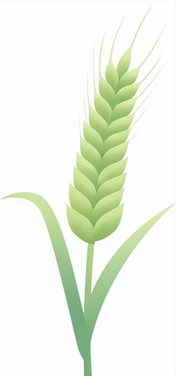 高性价比最好月子房,高性价比月子中心哪家好