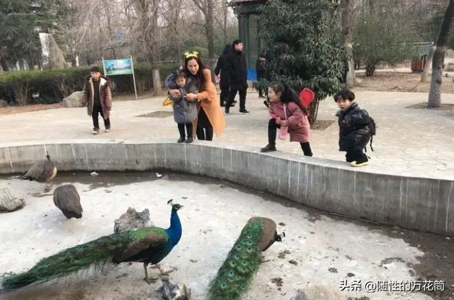 云台山青天峡景区,云台山青天河风景区