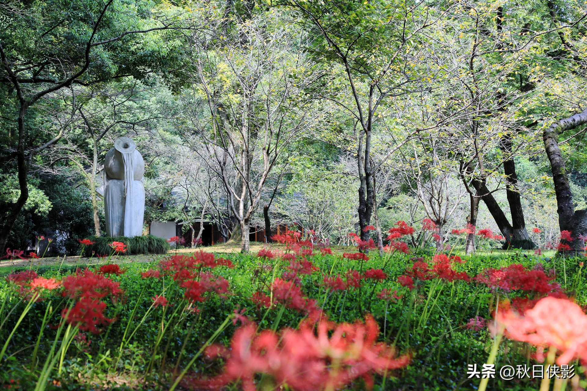 西湖边的免费小众景点,西湖边的公园