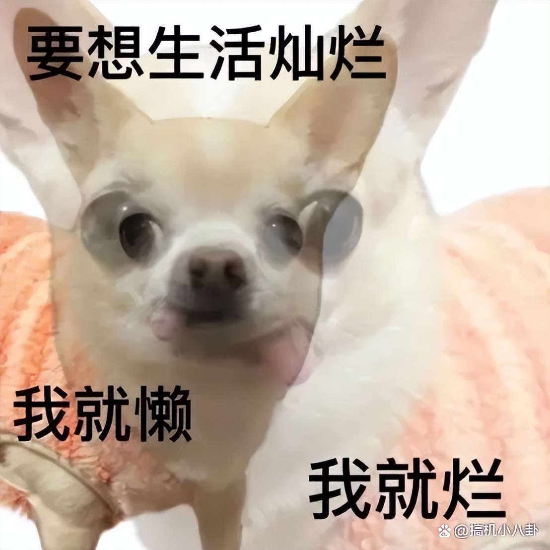 闪修侠上门修手机修坏了自己赔吗,闪修侠手机上门换电池靠谱吗