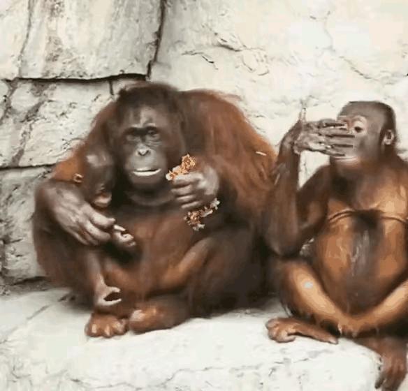 当下零成本赚钱门路,千万别上当的骗局