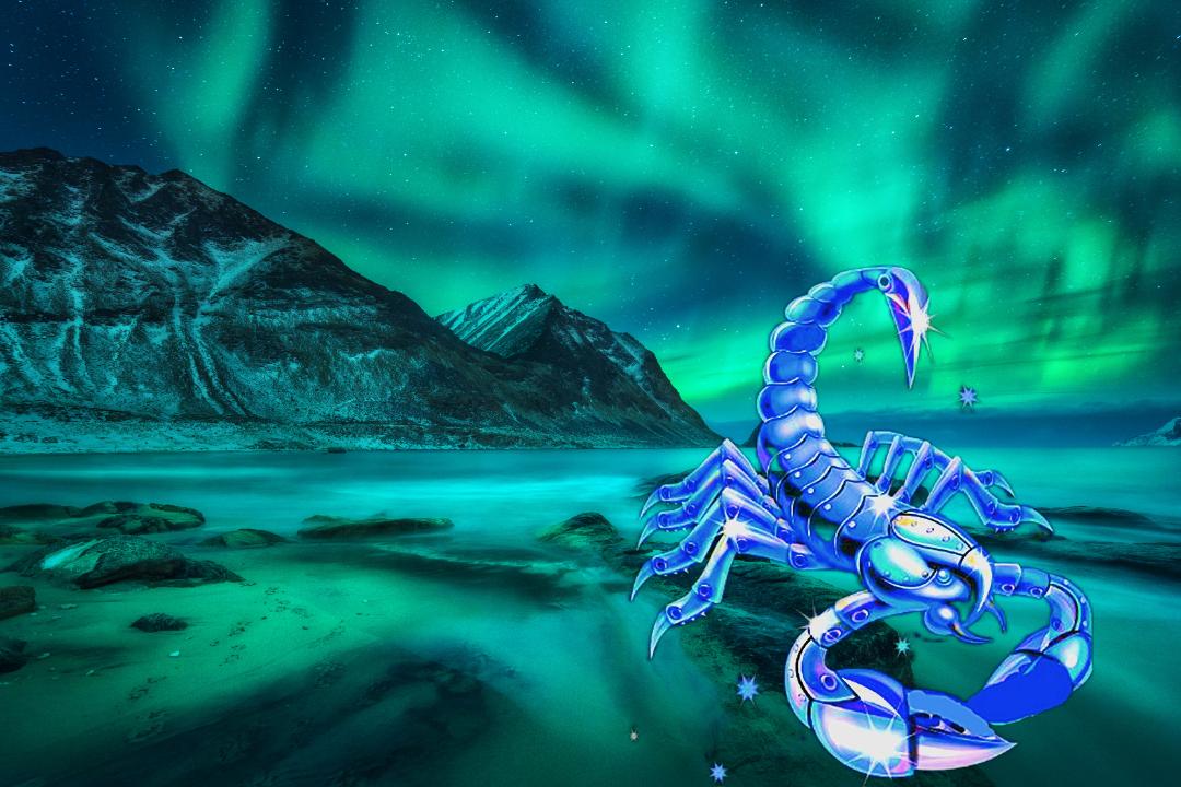 天蝎座容易成功的行业,近期天蝎座升职能成功吗