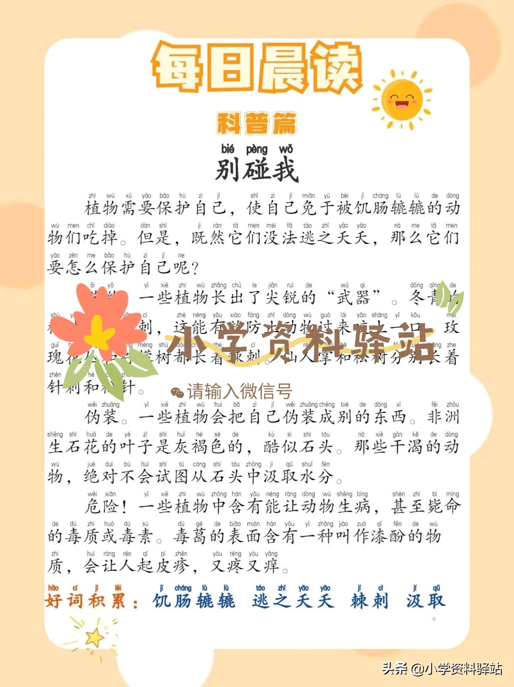 晨读历史,晨读历史篇