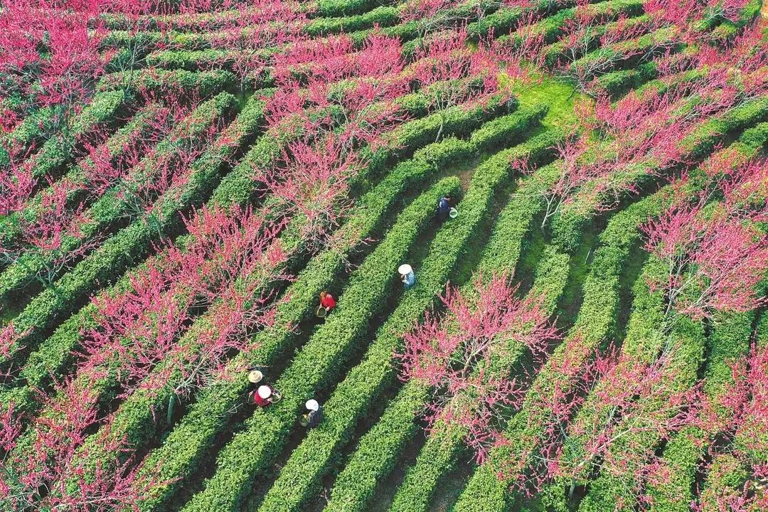 宁西高铁河南十四五高铁规划,宁西高铁纳入十四五规划了吗
