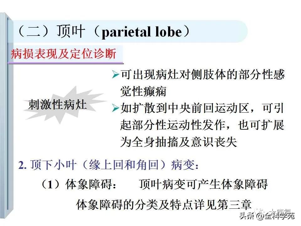 神经系统的影像与解剖定位,最全神经解剖图