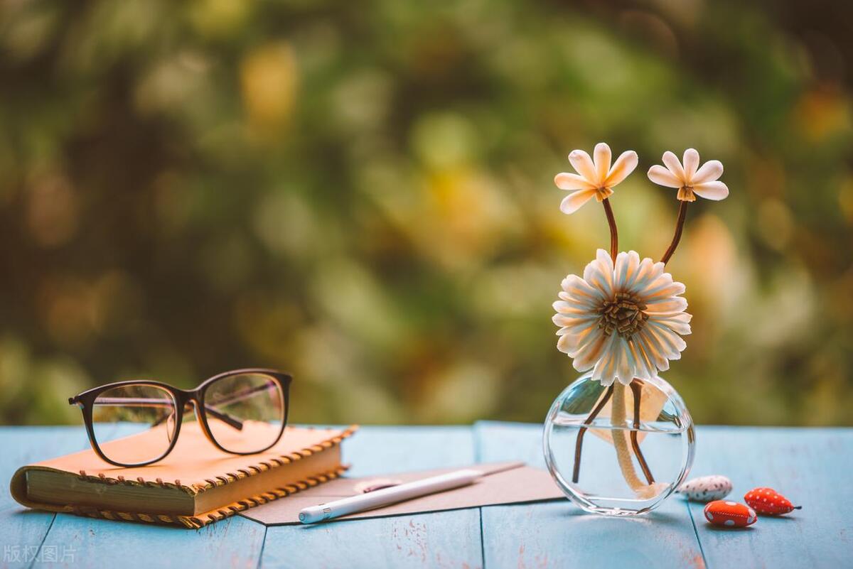 老侯|磊子新书《蝼蚁》阅读笔记