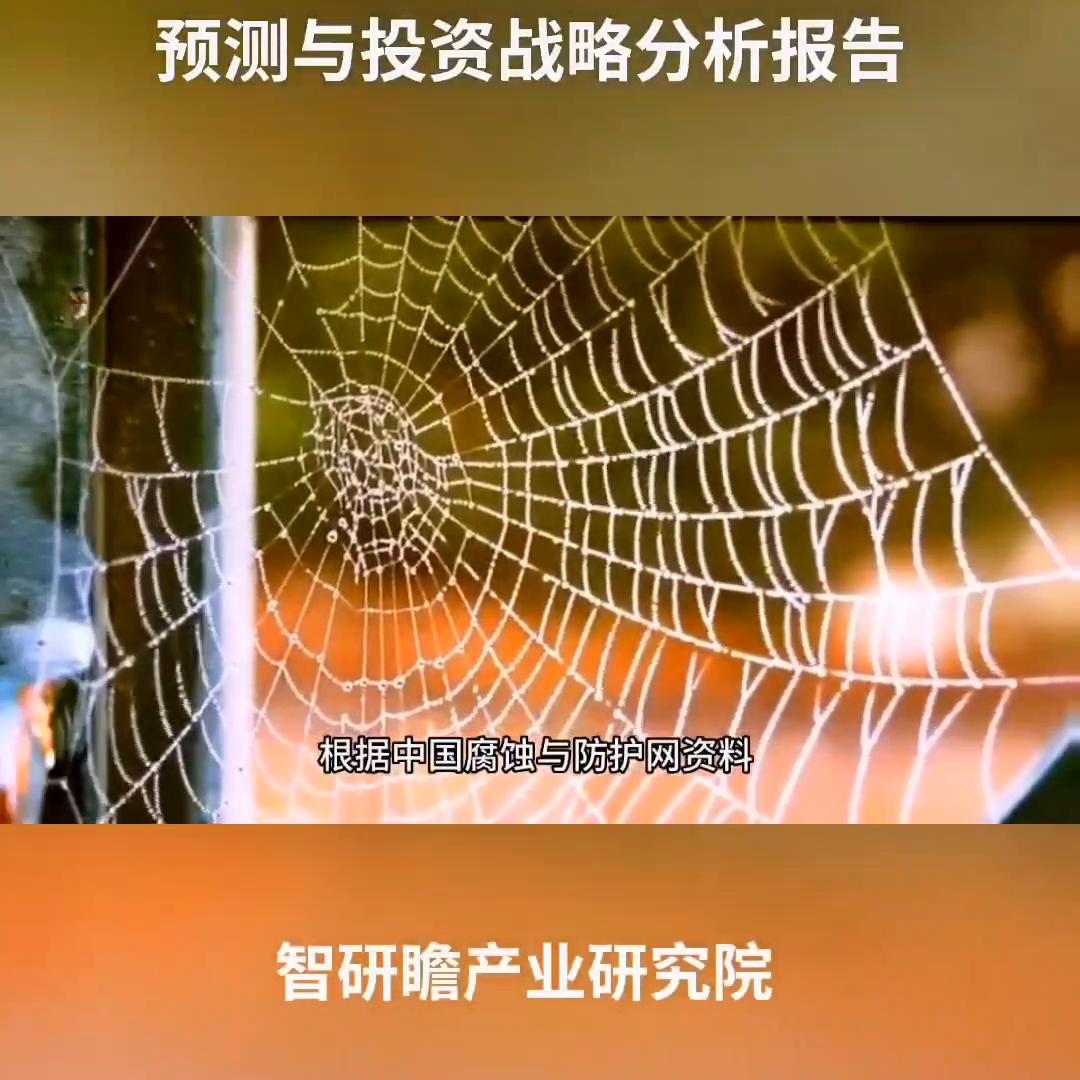 行业分析报告与市场调研报告,行业投资与发展前景研究报告