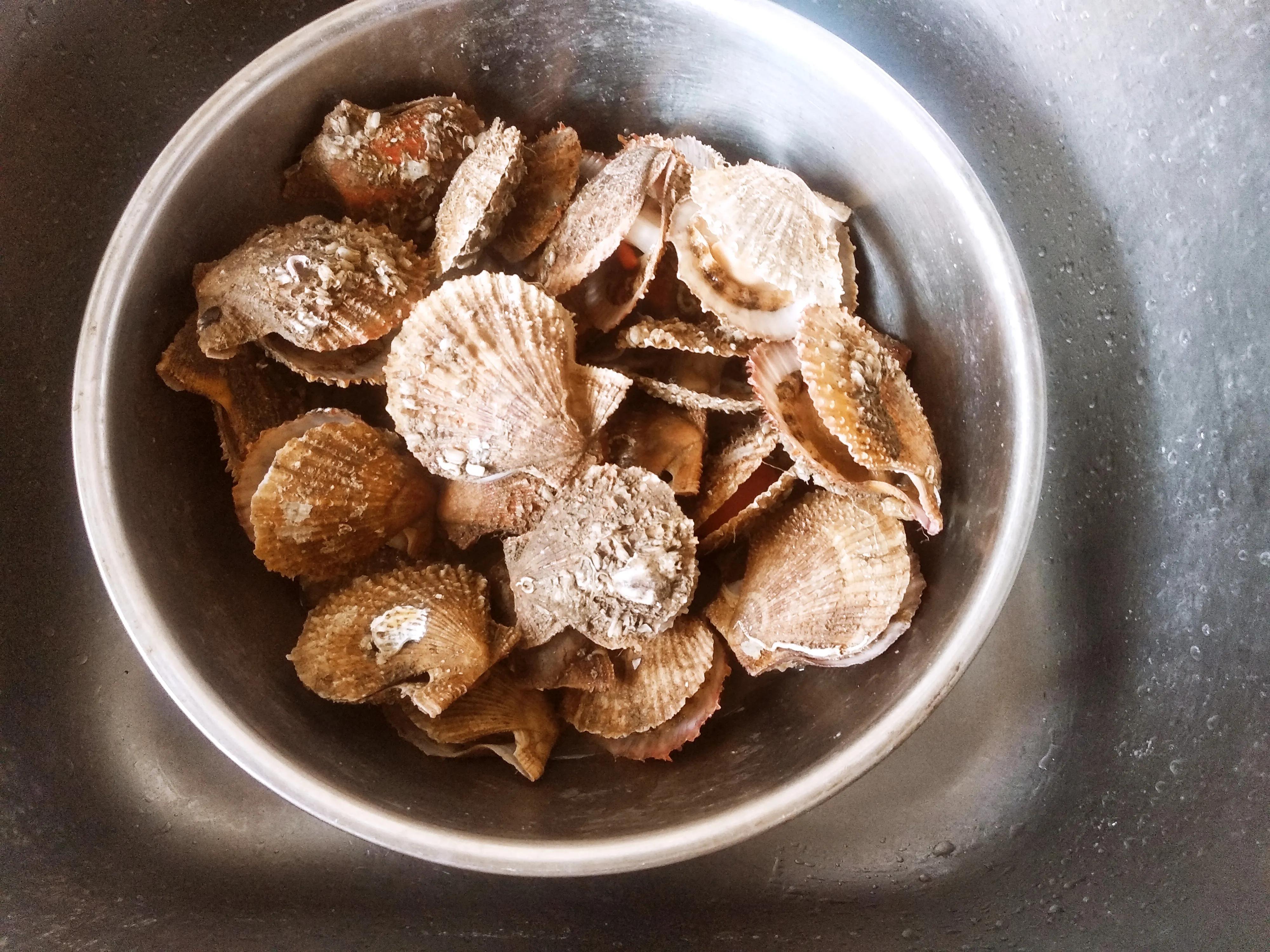 虾夷贝跟扇贝有什么区别,扇贝和港湾贝有什么区别