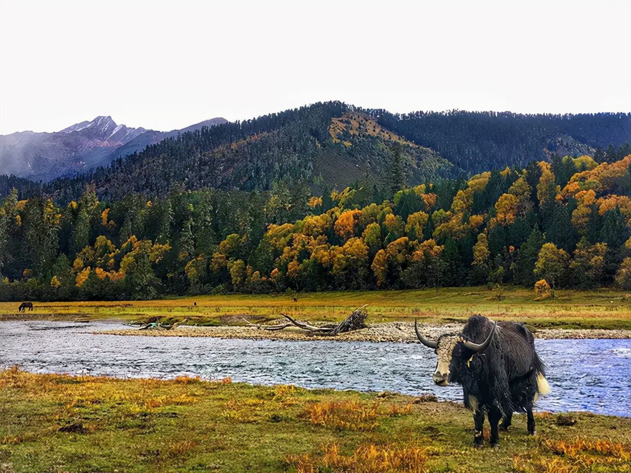 西北十大旅行攻略,西藏自驾游一日游攻略