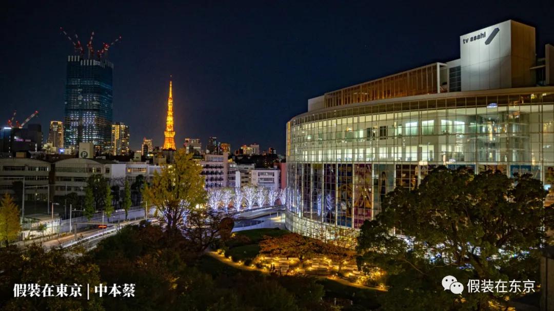 365张照片回顾,365张相片