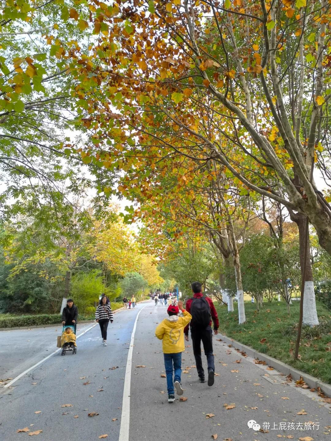 上海超火的日式私汤温泉酒店,上海日式温泉度假