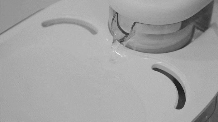 各种品牌宠物自动饮水机测评,安全宠物饮水机测评