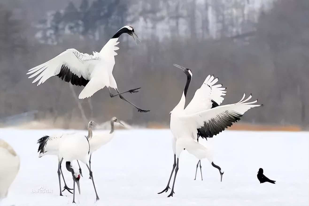 今日竞彩早场6串1实单,竞彩6串22可容错几场
