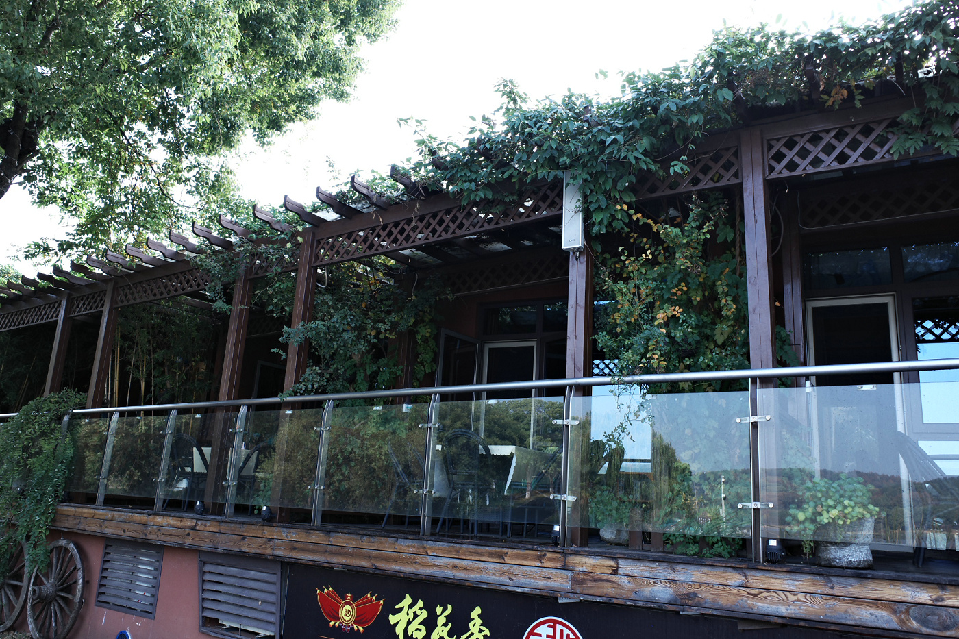 不出武汉赏银杏的地方,武汉好逛的森林公园