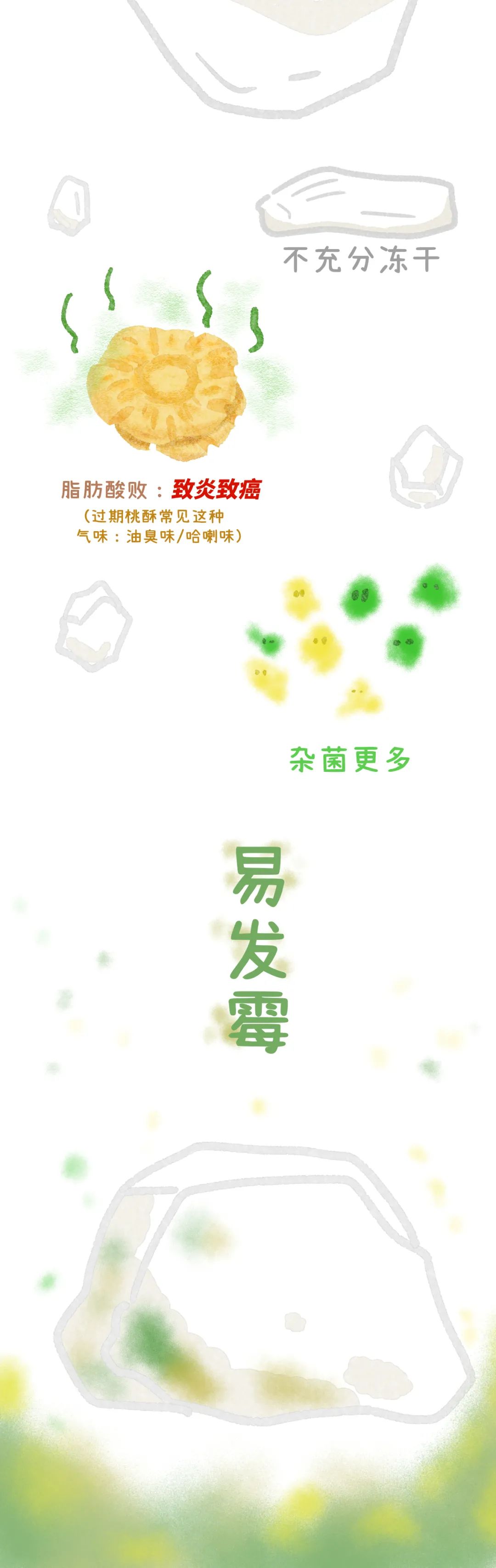 养猫卖宠物用品变现,养猫注意事项和骗局