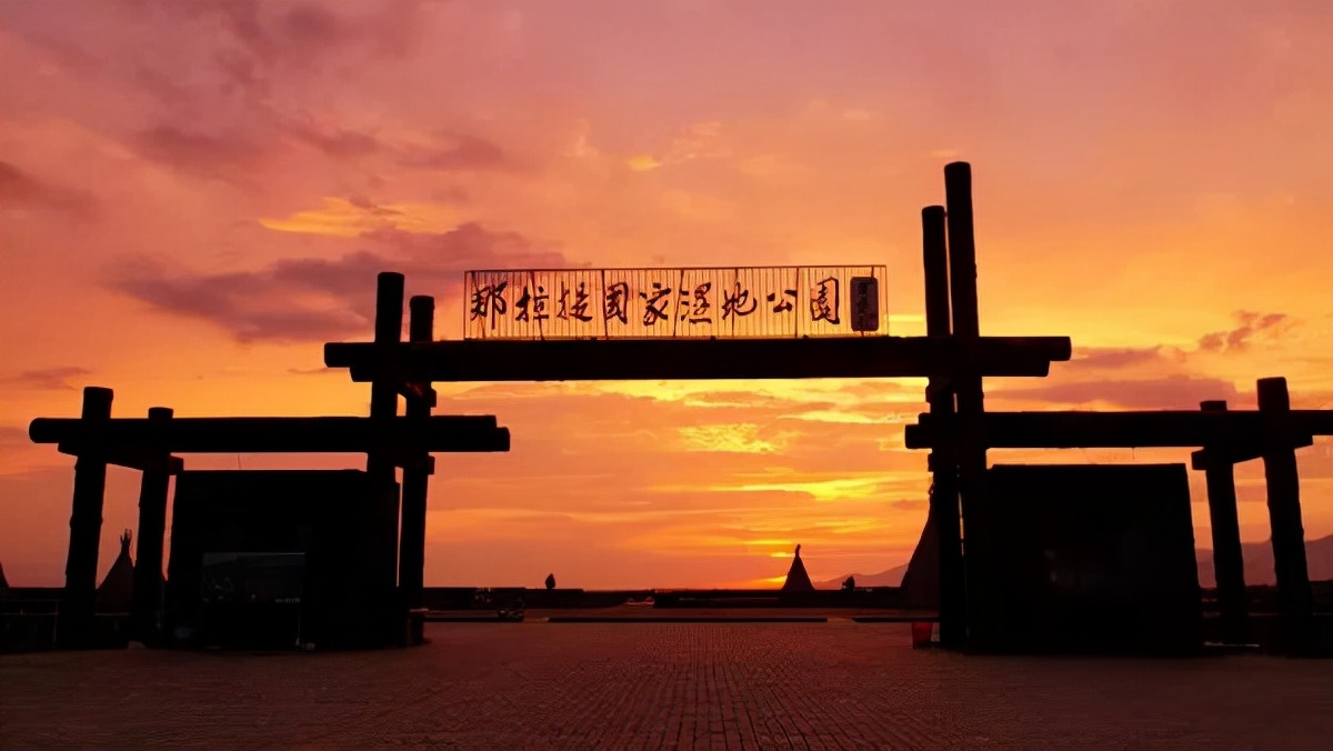 火了！新源又火了！全国瞩目，未来发展不可估量！为你的家乡比心