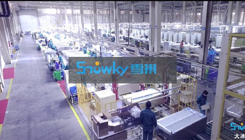 雪祺电气2024第一季度利润,雪祺电气毛利率