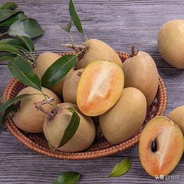 海南的水果特产有哪些？你知道几种？