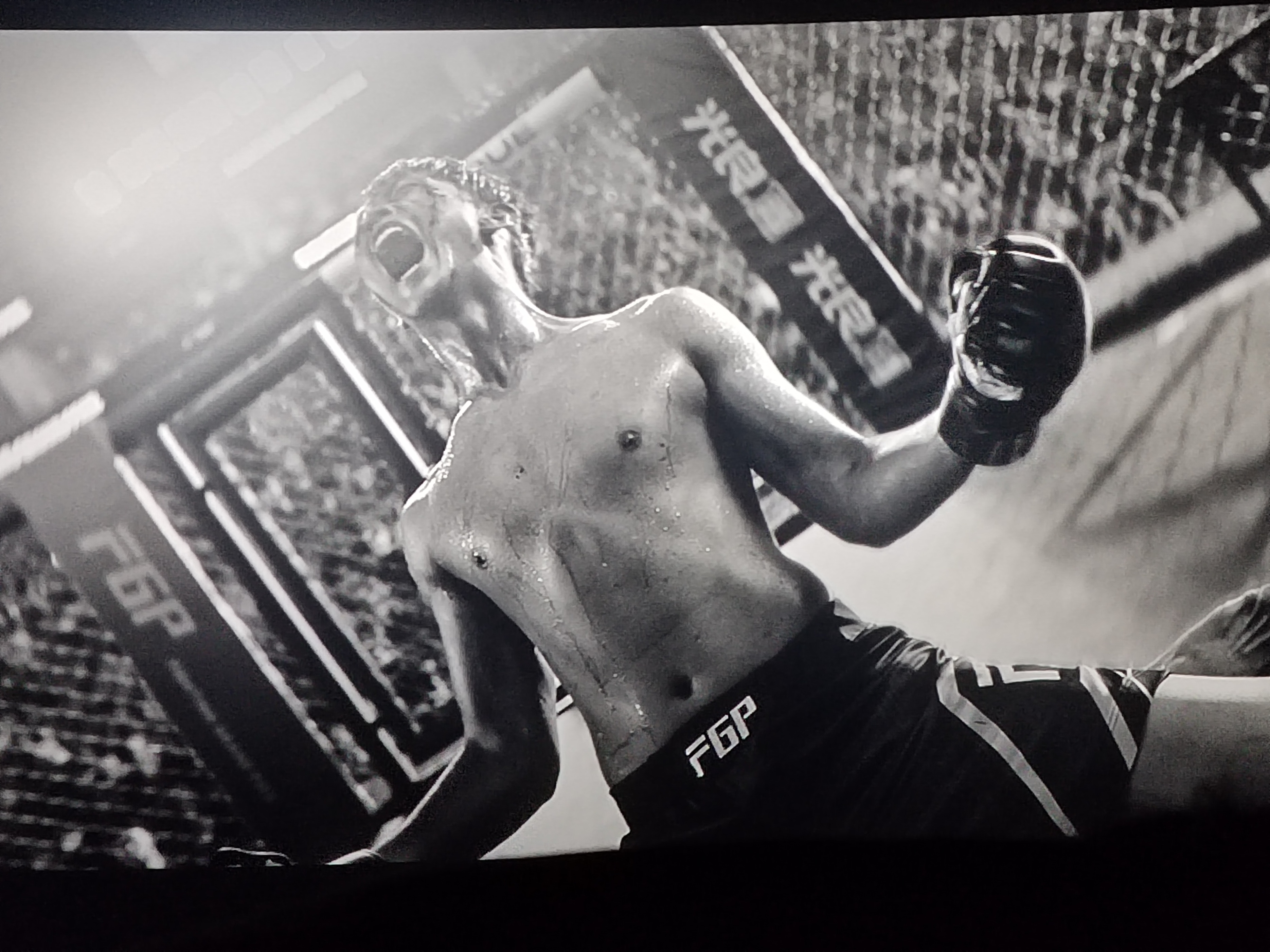 电影八角笼算不算好片,八角笼电影真实事件