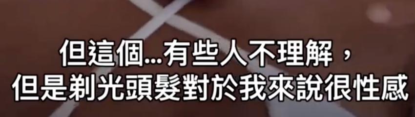 豆荚猫红色造型秀场,豆荚猫秀场图片