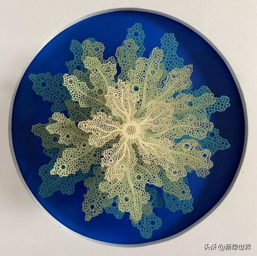 纸艺作品绘画,千变万化的纸艺术作品