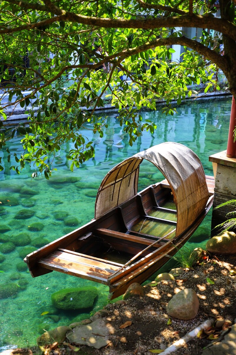 广西桂林人平均寿命是多少,平均寿命长寿的省份