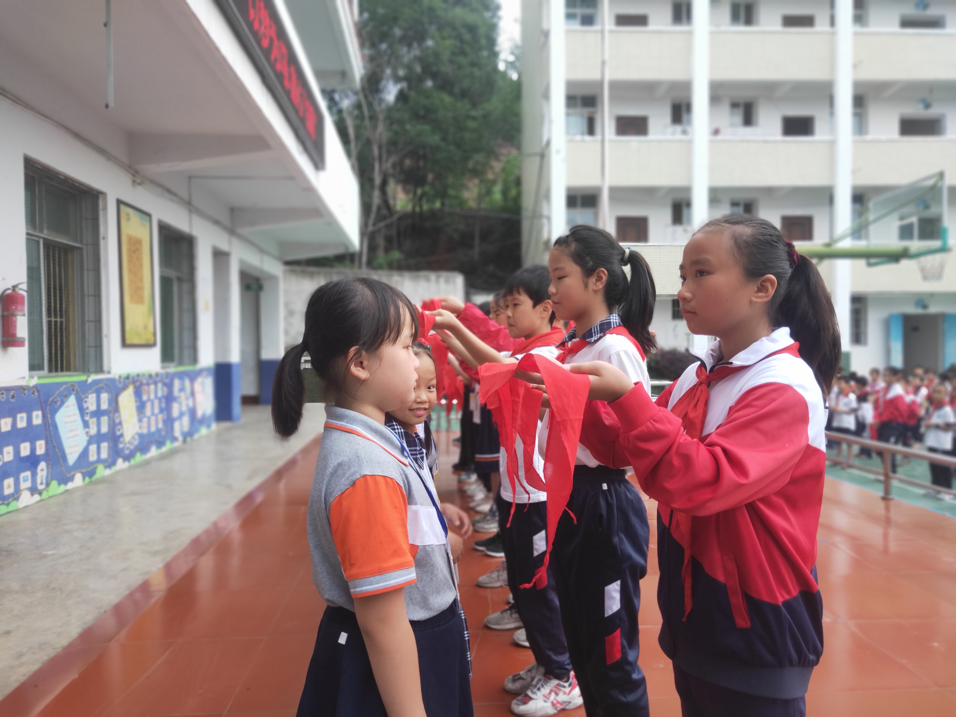 振奋人心的少先队入队仪式,少先队入队仪式参考