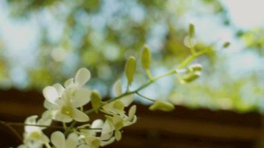 烟火人家,烟火气装修风格