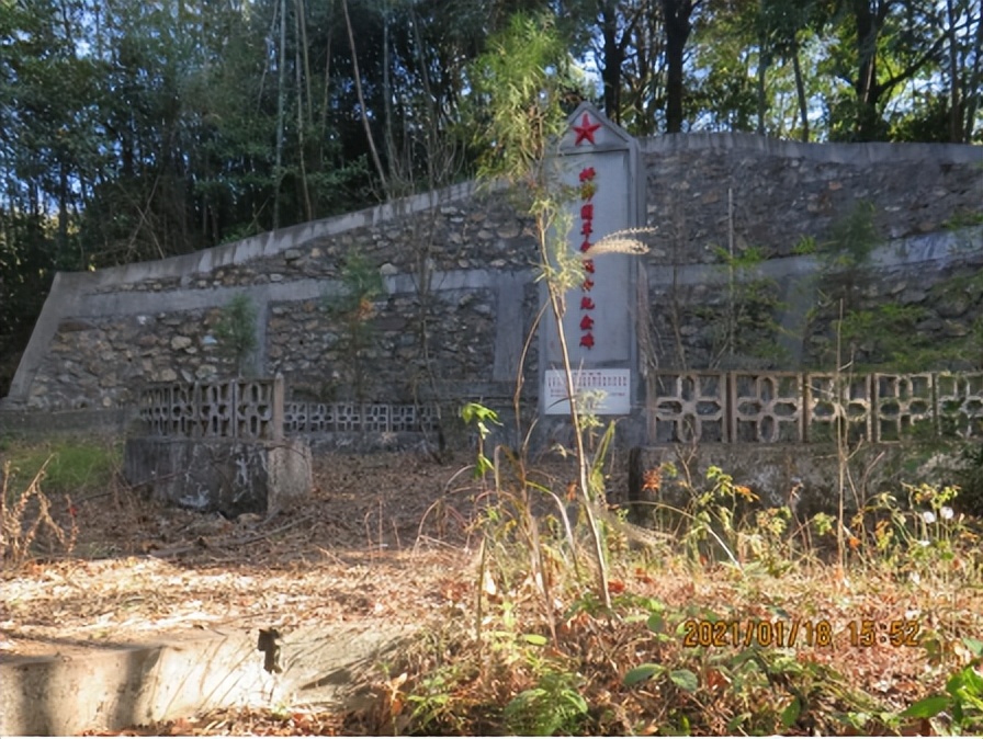 群众送鲜花缅怀英烈,鲜花祭英烈植树寄哀思